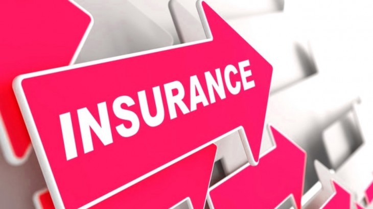 Life Insurance: टर्म इंश्योरेंस (Term Insurance)