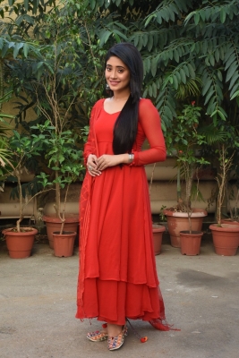 Shivangi Johi