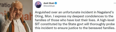 Shah condemn