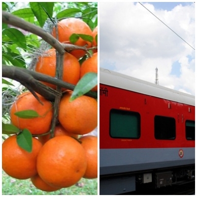 Rajathani tangerine