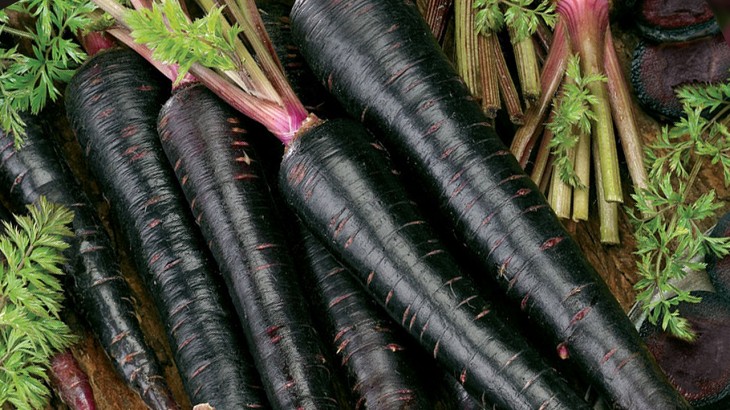 Black Carrot Benefits