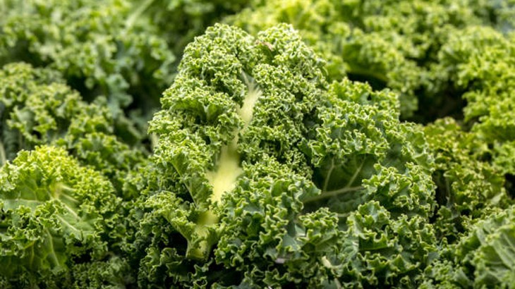 Kale Benefits
