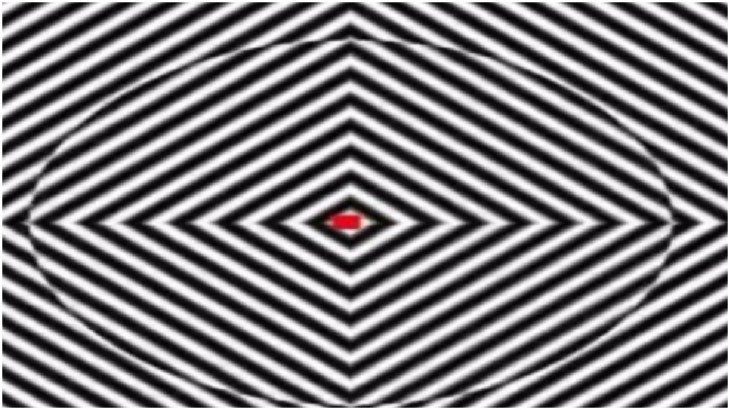 Optical Illusion Challenge