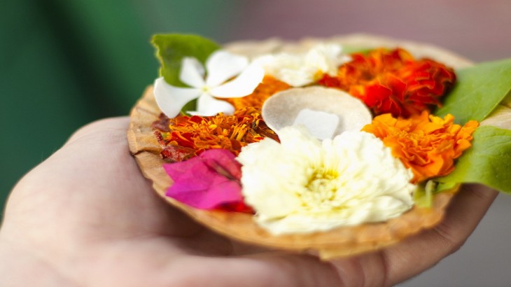 Vastu Tips For Dried Flower