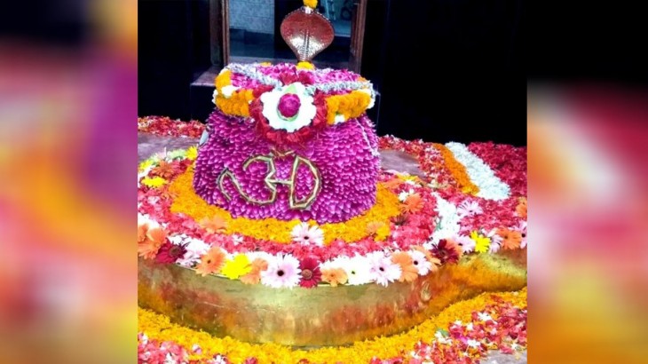 Marigold Flowers During Puja