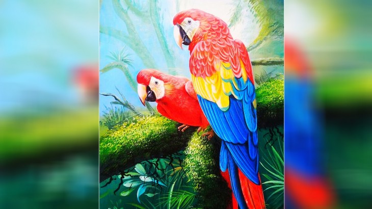 Parrot Picture Vastu Tips