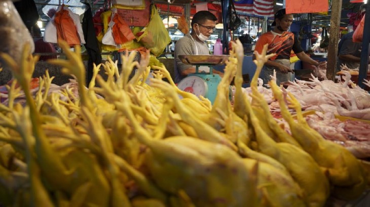 Malaysia bans chicken