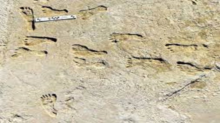 ancient human footprints
