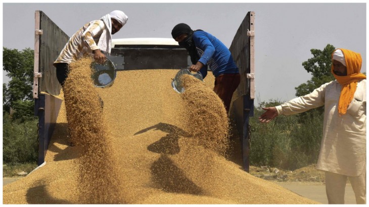 Indian Wheat Export