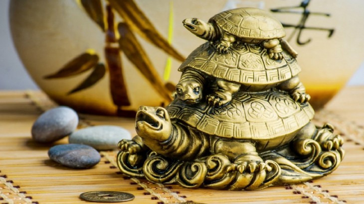 Vastu Tips For Tortoise In House