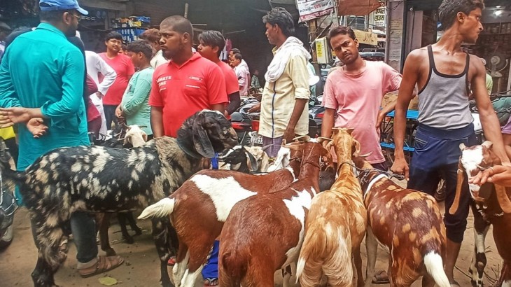 Goat Market for Eid ul Adha