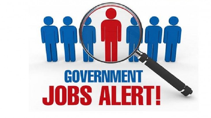Govt. Job