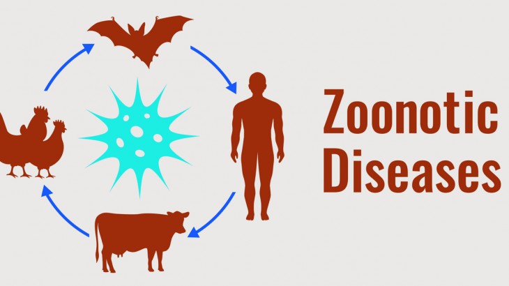 Zoonotic Virus