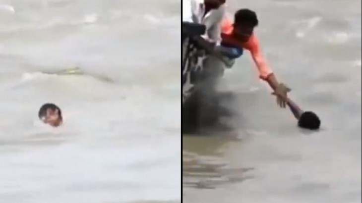 Crocodiles And The Fighter Kid Viral Video