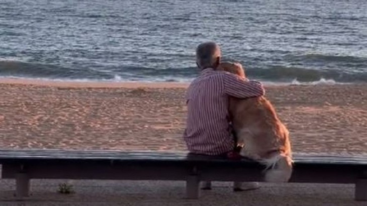 man watching the sunset with his dog