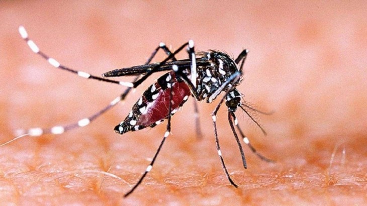 Dengue cases increasing in Delhi
