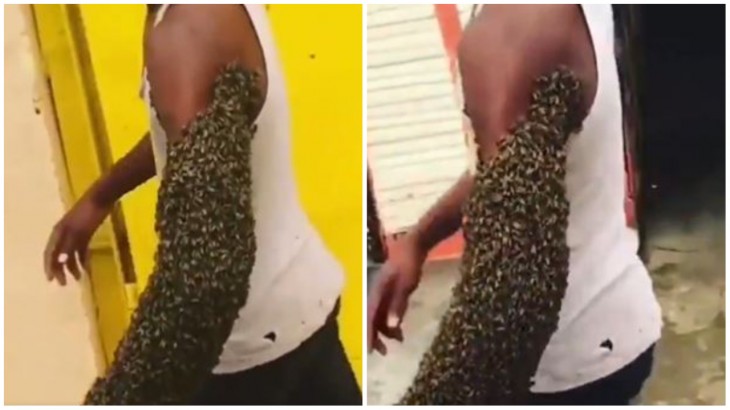 Man Carries An Entire Bee Colony On His Arm
