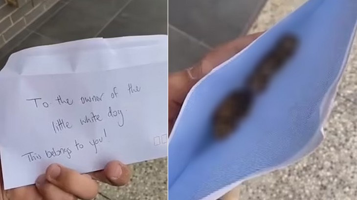 Dog Poo In Envelop