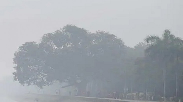 IMD predicts heavy rain  dense fog in these states till 24 January