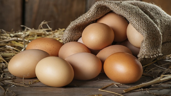 eggs farming
