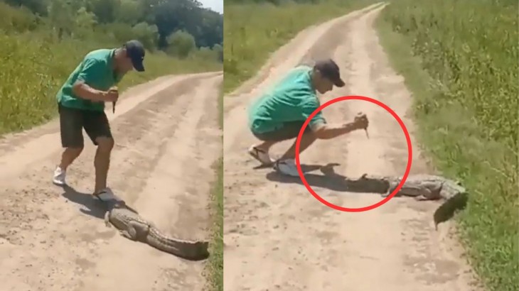 man knife attacks crocodile