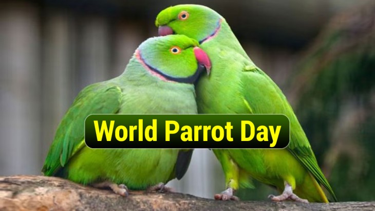 world parrot day
