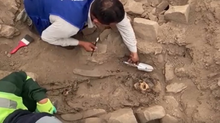 Old mummy found in Peru