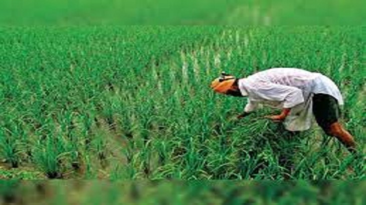 Bihar Farmers are facing trouble