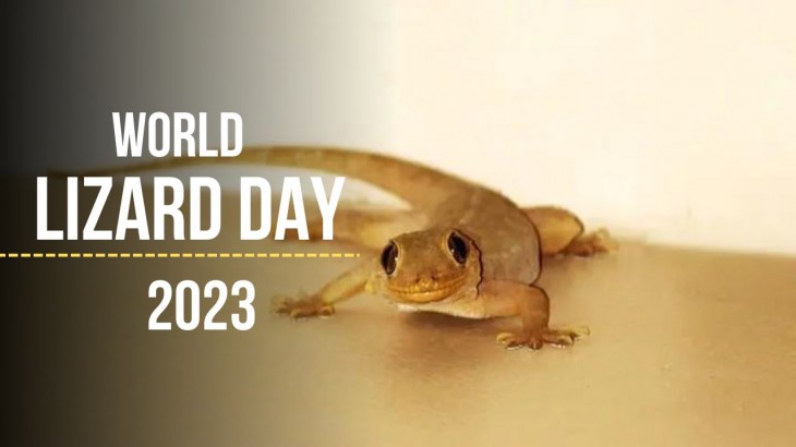 World Lizard Day