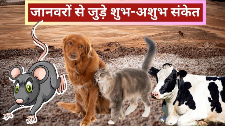 Auspicious and inauspicious signs related to animals