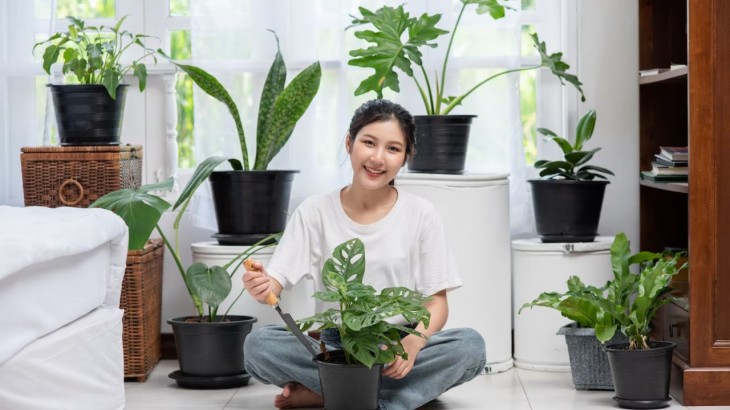 Vastu Tips For Plants