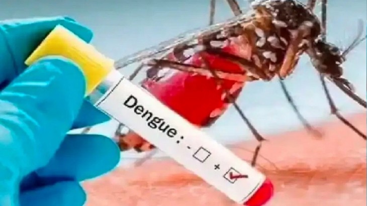 bihar dengue cases