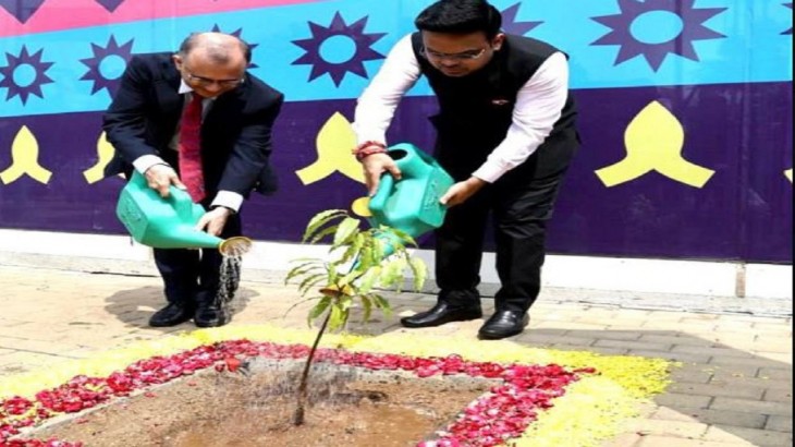 ipl 2023 BCCI has planted 147000 trees