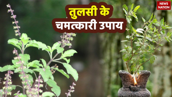 tulsi remedies to get rid of financial problem