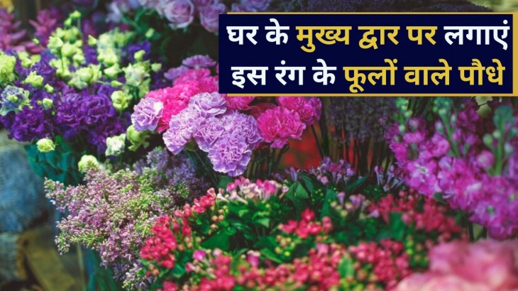 lucky 5 color flower plants that needs to be placed in front of the house for prosperity