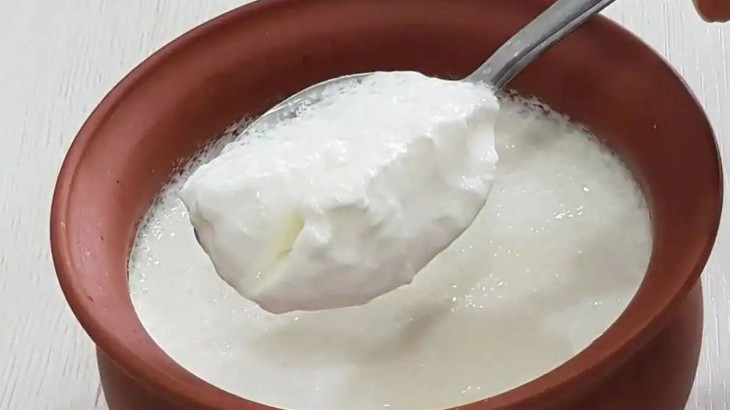 What are the benefits of eating curd?