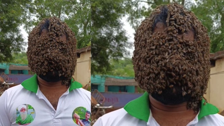 canopy of bees on his face
