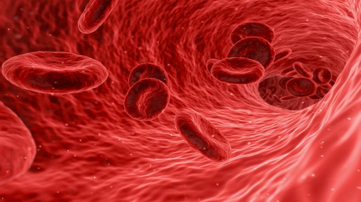 symptoms of anemia