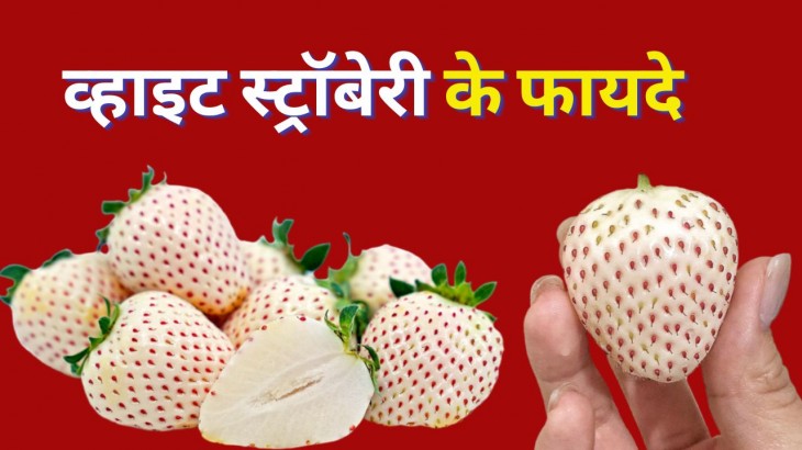 What is White Strawberry and Know Its Benefits