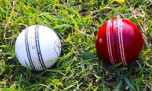 hindi-cricket-time-for-a-reality-check-white-ball-or-tet-team-both-need-killer-punch-for-ucce-in-wor