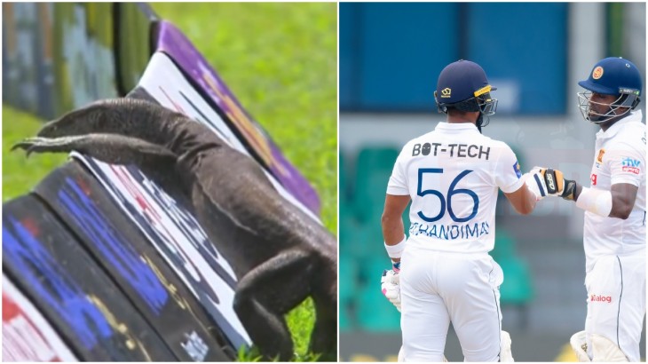 Sri Lanka vs Afghanistan Test was delayed because Monitor Lizard