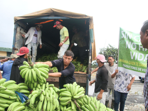 hindi-ruia-tart-exporting-banana-to-india-after-mocow-top-purchae-from-ecuador--20240207125441-20240