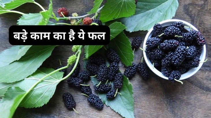 Benefits Of Mulberry