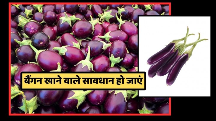 why not eat brinjal