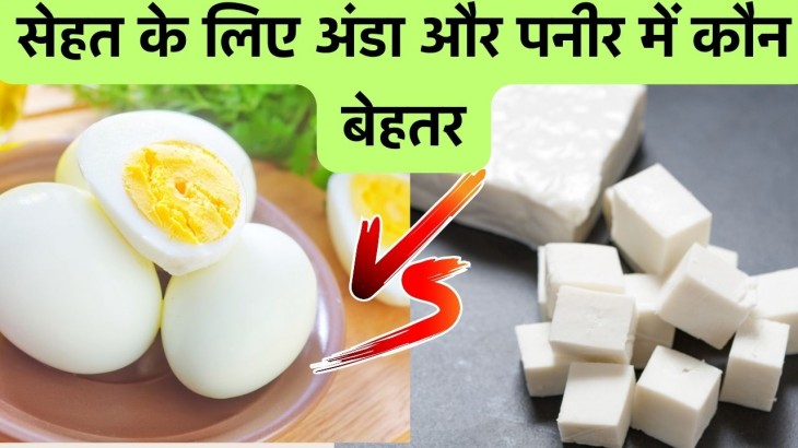 Egg vs Paneer