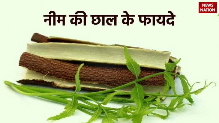 Get rid of stomach problems know the benefits of Neem