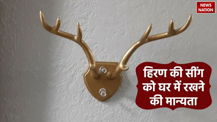 belief of keeping deer horn in the house know whether it is auspicious or inauspicious