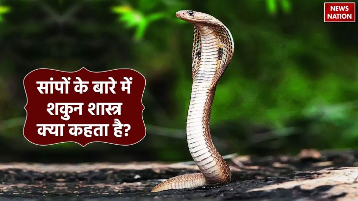 shakun shastra is it auspicious or inauspicious to find a snake in the house