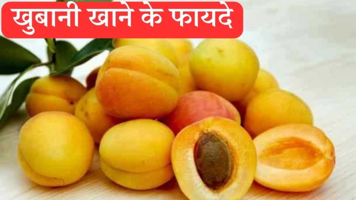 Khubani Fruit Benefits