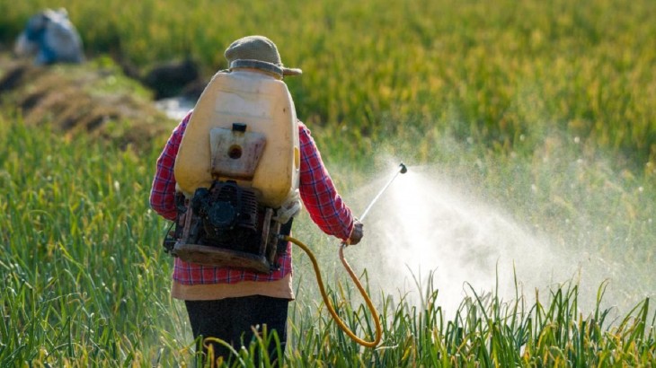 Pesticides Harmful Effects